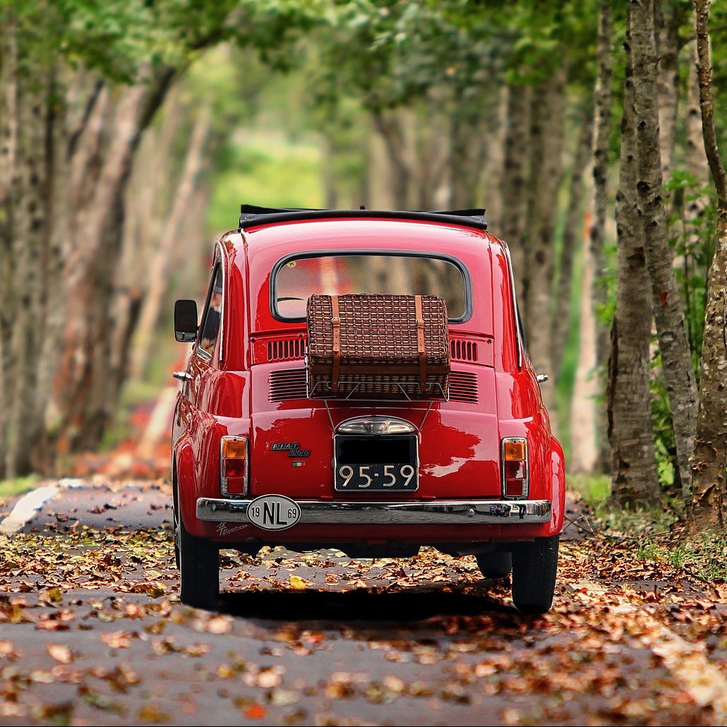 fiat 500, automobile, trees-4322521.jpg